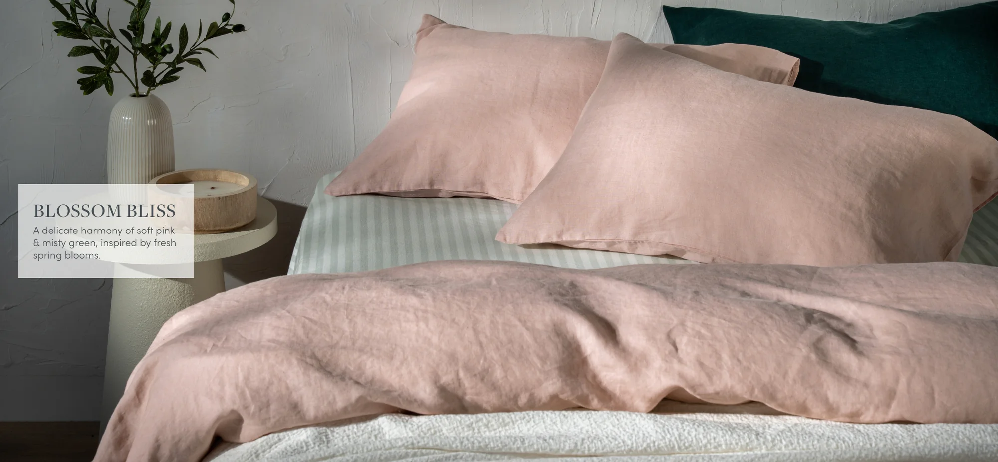 Exceptional Comfort, Fairly Priced Luxury
