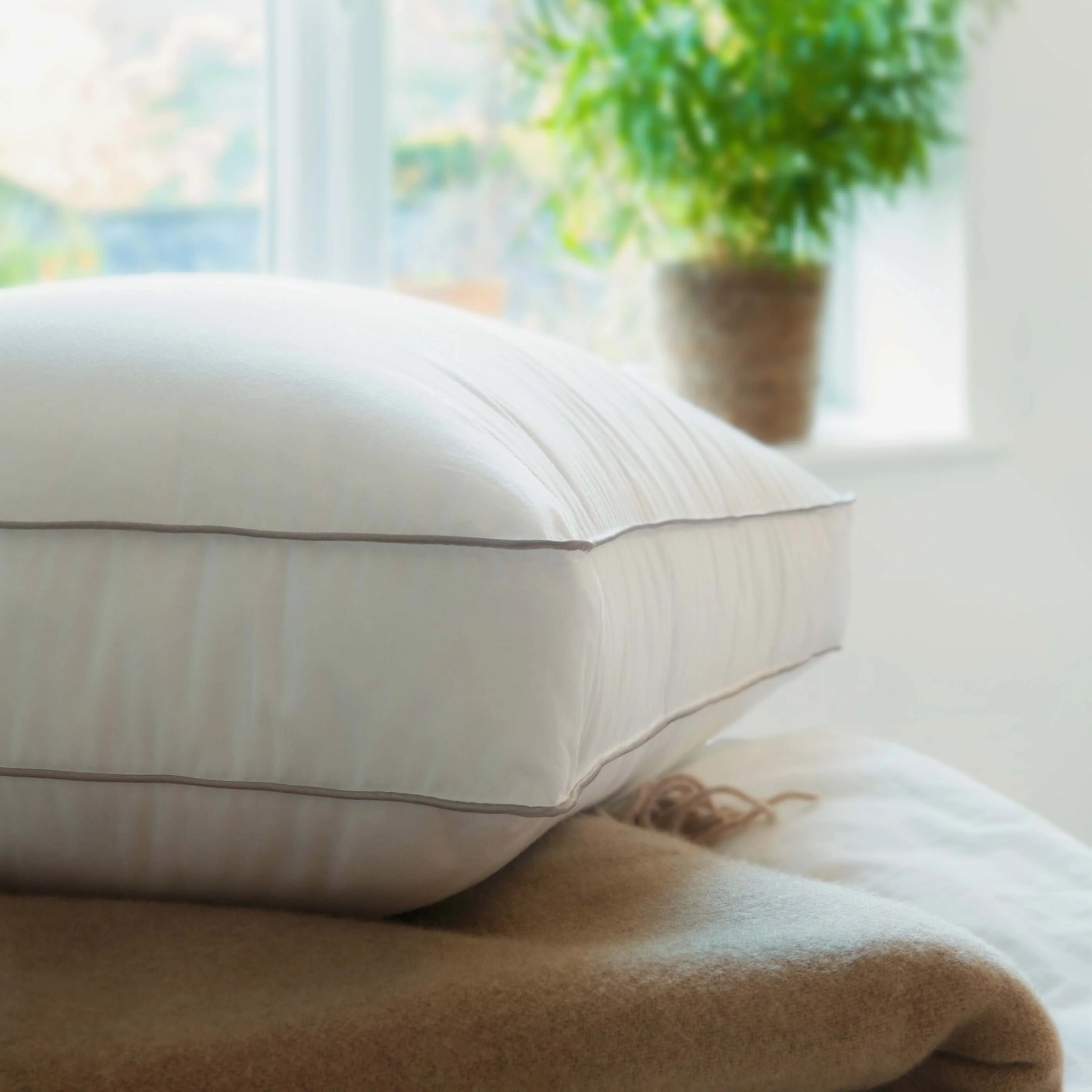 Soft as Down Box Pillow